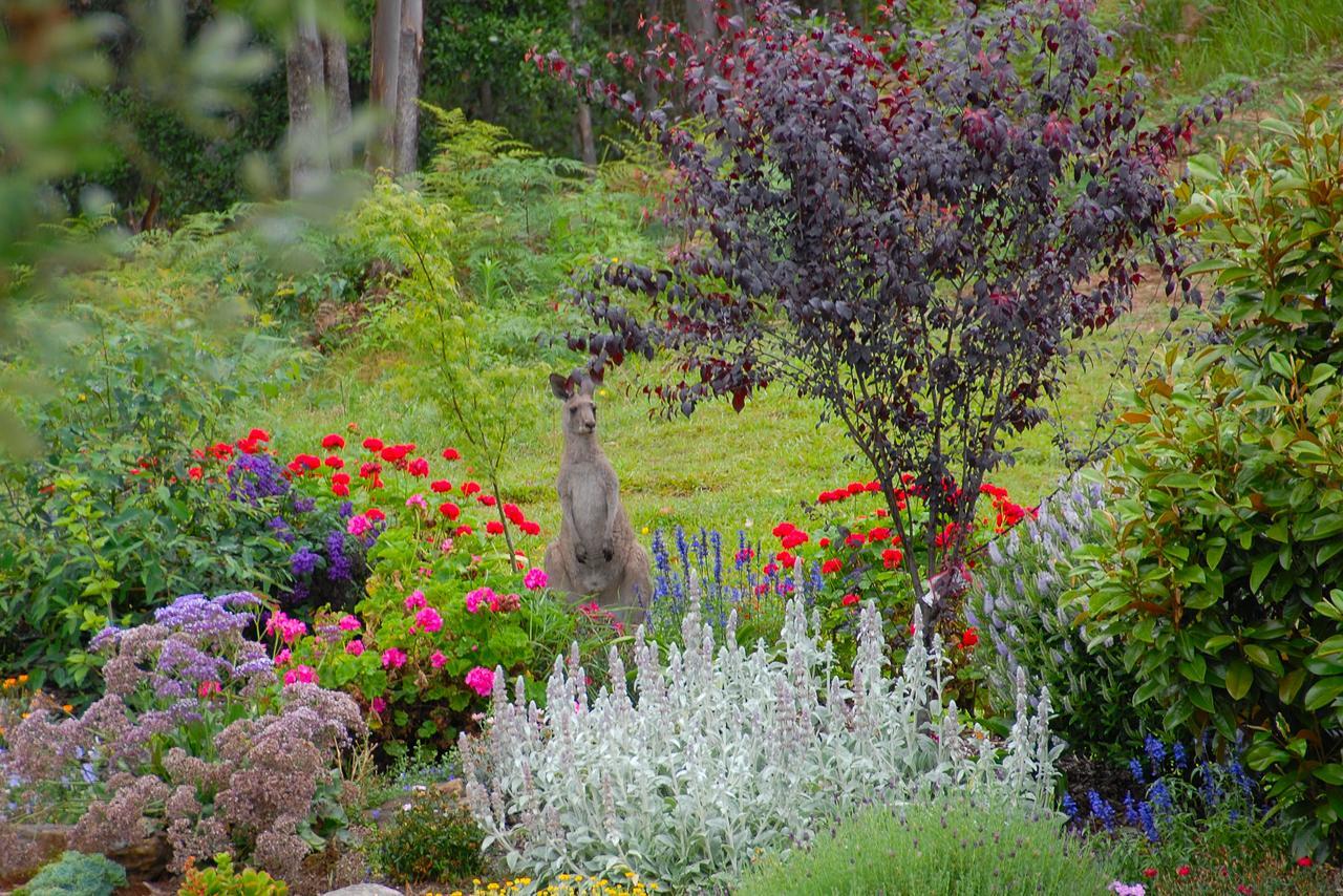 Skyview Villa Kangaroo Valley Luaran gambar
